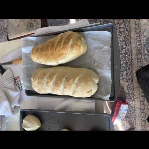 IMG_9299_original